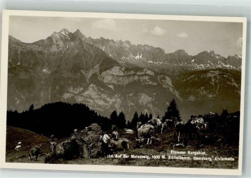 8890 Flums Foto AK Molseralp Sichelklamm Gamsberg Alvierkette