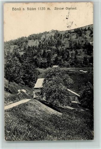 Hörnli ZH - 1911 Hörnli nach Süden