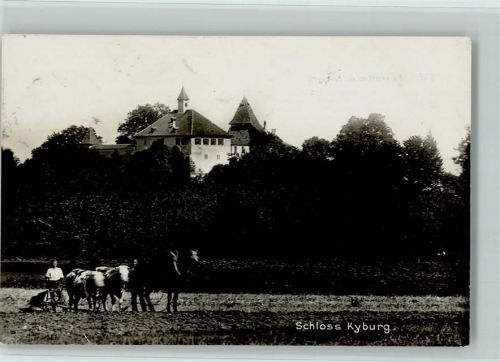 8314 Kyburg - Schloss Ochsenpflug