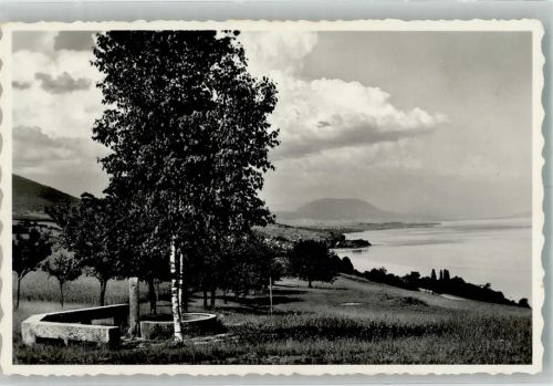 2028 Vaumarcus 1949 Foto AK Camp de Vaumarcus