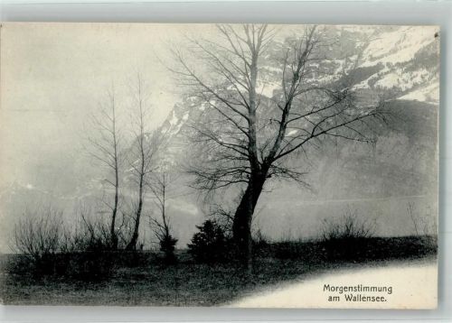 8880 Walenstadt Foto AK Wallensee