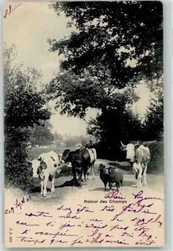 1213 Petit-Lancy Lancy 1901 - Retour de Champs Ort lt. Stempel