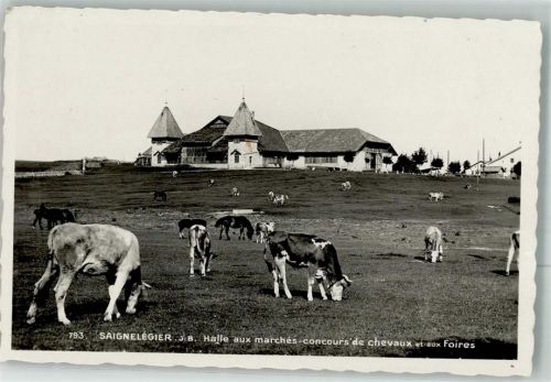 2350 Saignelégier Foto AK Halle aux marchés
