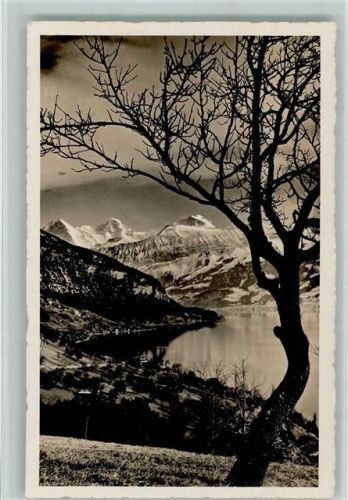 3654 Gunten - Thunersee