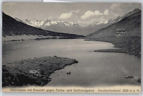 Furka - Forellenfischerei