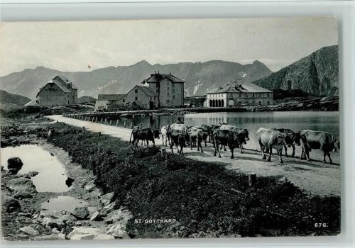 Sankt Gotthard TI 1907 - St. Gotthard - Bauer mit Kühe auf der Straße, gute Erhaltung AK