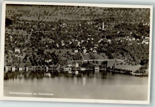 5616 Meisterschwanden Foto AK Fliegeraufnahme