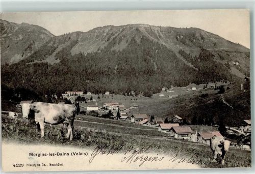 1875 Morgins 1905