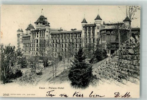 1824 Caux 1903 Foto AK Palace Hotel