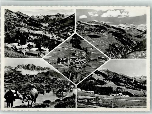 7243 Pany - Ortsansichten Kühe Schwimmbad Mehrfachaufnahme