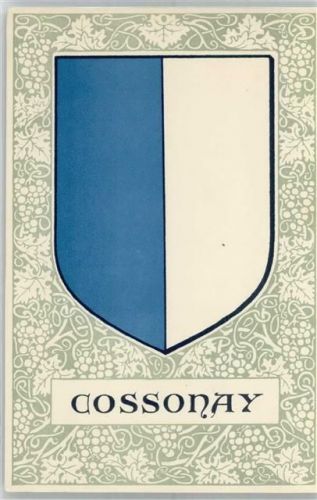 1304 Cossonay-Ville - Wappen