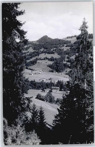 3778 Schönried - Pension Alpenrose, Hornberg AKU2