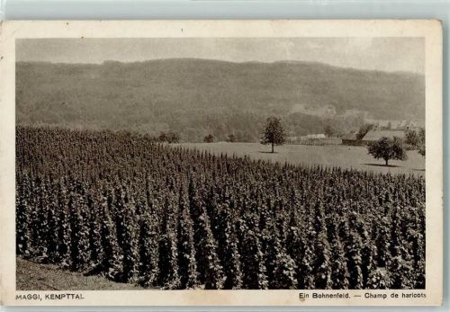 8307 Oberkempttal Effretikon 1925 Gebrauchsspuren Maggi - Bohnenfeld