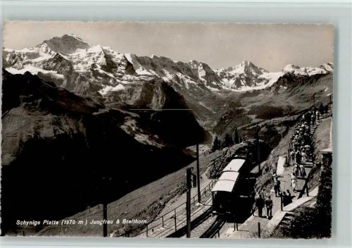 Schynige-Platte-Bahn - Schynige Platte mit Jungfrau und Breithorn