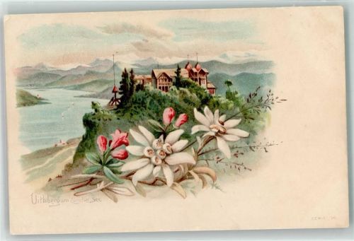 8143 Uetliberg Lithographie Blumen Züricher See