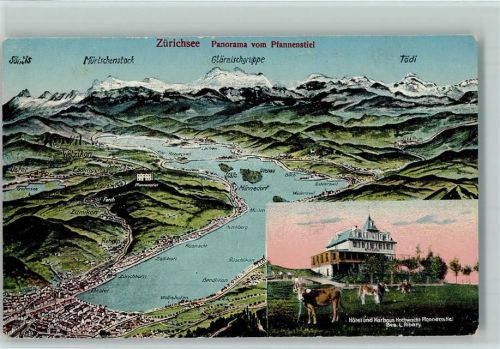 8132 Egg bei Zürich - Landkarte Zürichsee Panorama vom Pfannenstiel Hotel Und Kurhaus Hochwacht Pfannenstiel Kühe 2-Bildaufnahme