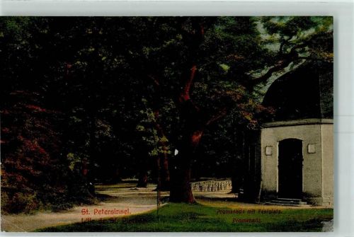 3235 St. Petersinsel Erlach Lithographie Promenade mit Festplatz