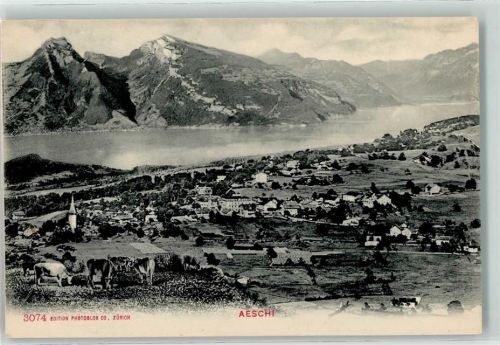 3703 Aeschi b. Spiez