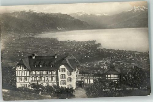 Mont Pelerin - Hotel des Alpes