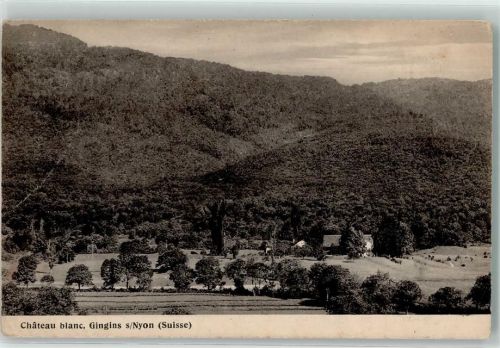 1276 Gingins Gebrauchsspuren Weisses Schloss