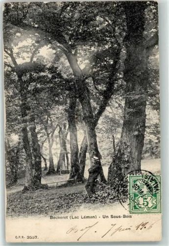 1897 Bouveret - Un Sous Bois