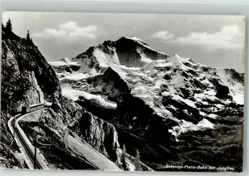 Schynige-Platte-Bahn 1956 Foto AK Bergbahn