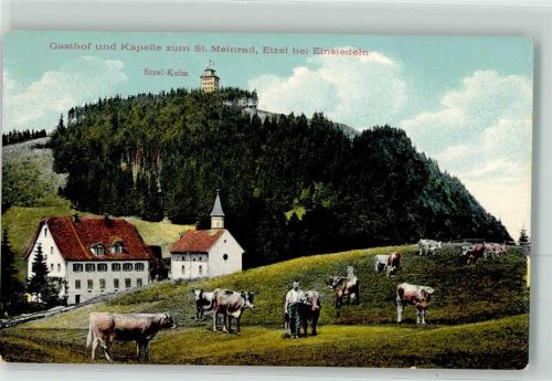 Etzel St Meinrad - Gasthaus Kapelle Kulm Kühe