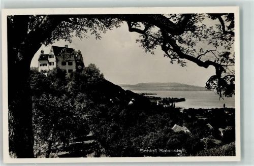 8268 Mannenbach-Salenstein - Schloss Salenstein