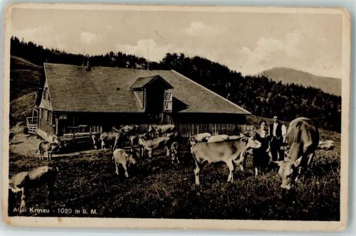 9622 Krinau Gebrauchsspuren Alp Kuhherde