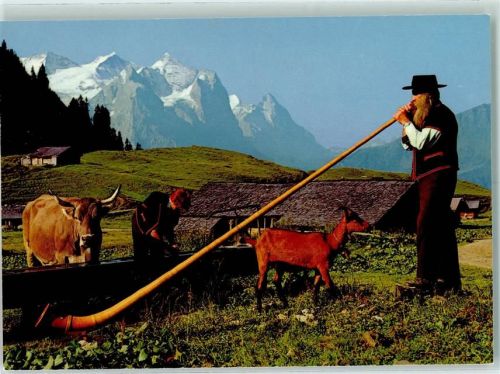 Wetterhorn Grindelwald - Wetterhörner Eiger Alphornbläser Ziege Kuh