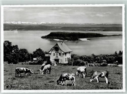 2515 Prêles Gebrauchsspuren Kuhherde See