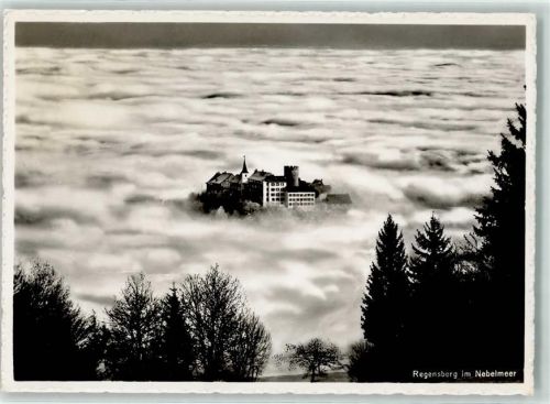 8158 Regensberg - Schloss im Nebelmeer