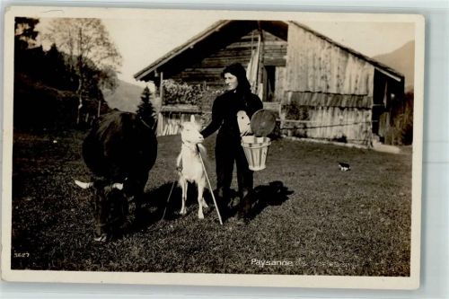 1926 Foto AK Kühe Paysanne Ziege AK