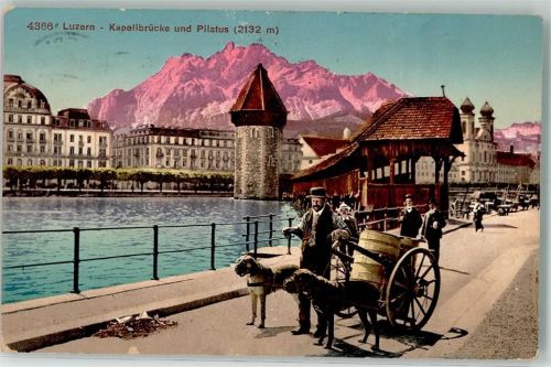 6000 Luzern Lucerne 1910 - Hundekarren Milchkarren Beruf