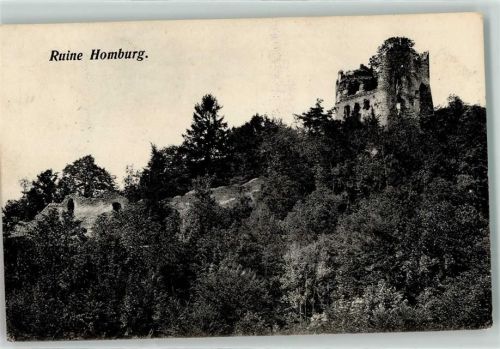 4448 Läufelfingen - Ruine Homburg