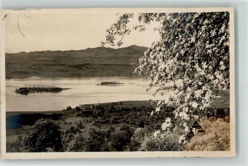 Ufenau Insel Foto AK