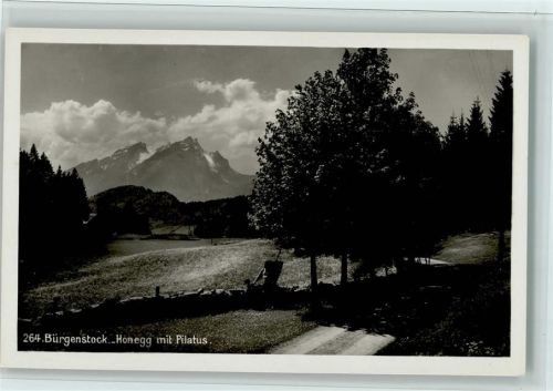 6363 Bürgenstock - Honegg mit Pilatus