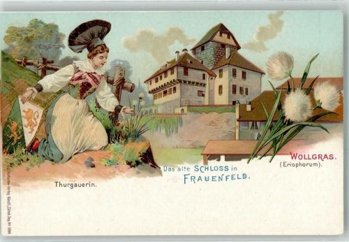 8500 Frauenfeld Lithographie Tracht das alte Schloss Wollgras Wappen Künzli Zürich Dep. Nr. 5089