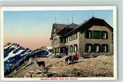 9057 Weissbad 1910 - Gasthaus Schäfler Blick zum Altmann Ziege