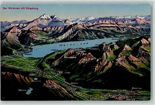 8880 Walenstadt - Vogelschau Walensee