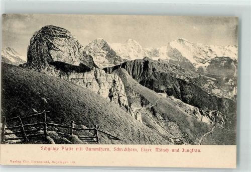 Schynige Platte - Gummihorn Schreckhorn Eiger Mönch Jungfrau