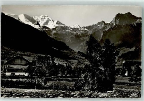 3703 Aeschi b. Spiez - Blümlisalp