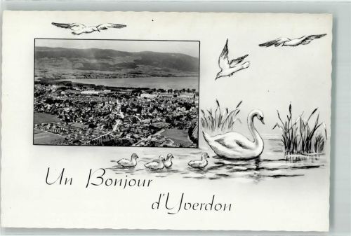 1400 Yverdon-les-Bains - Schwan Möwen Fliegeraufnahme