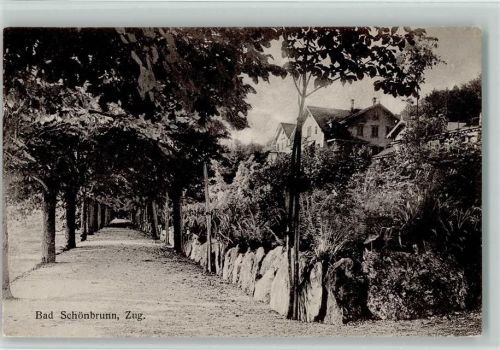 6300 Zug Zugo - Bad Schönbrunn Allee