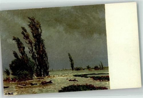 Zollikon Überschwemmtes Land sign. A Stäbli Ort lt. Verlag Pro Juventute Schweiz Künstlerkarte