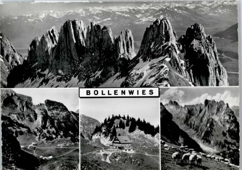 9058 Brülisau - Berggasthaus Bollenwies, Schafherde