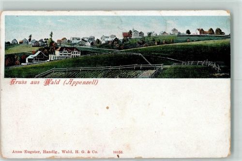 9044 Wald AR Gebrauchsspuren