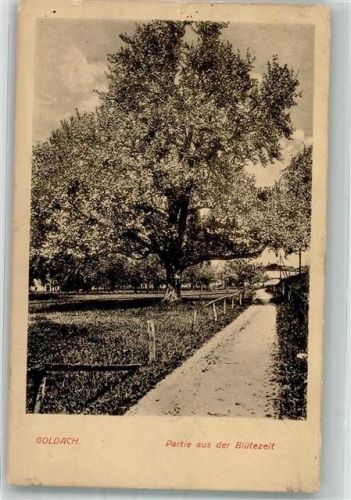 9403 Goldach 1921 Foto AK