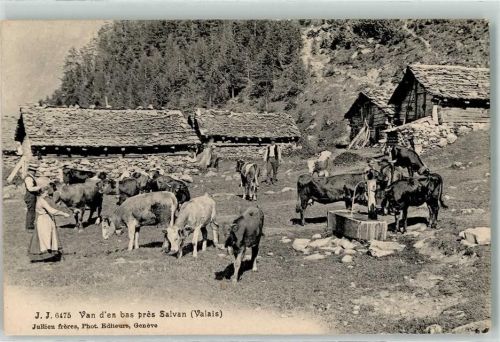 1922 Salvan 1906 - Kühe Brunnen Van d en bas