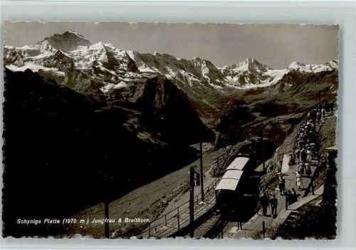 Schynige-Platte-Bahn - Schynige Platte mit Jungfrau und Breithorn